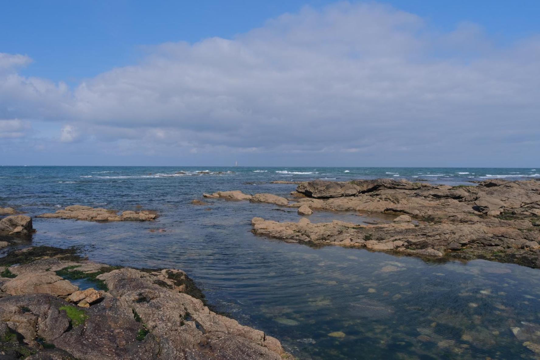 Vue Cote Sauvage * La Chaume